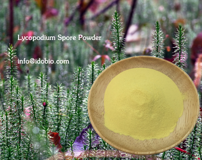 The Many Unexpected Jobs of the Clubmoss Spore