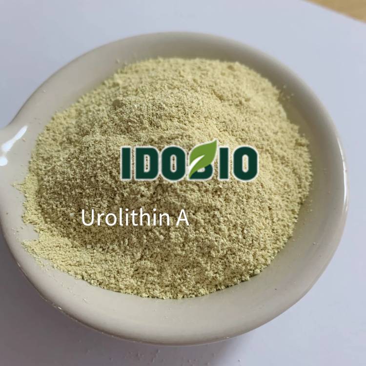 Urolithin A 98% 1143-70-0 Urolithin A 98% 1143-70-0