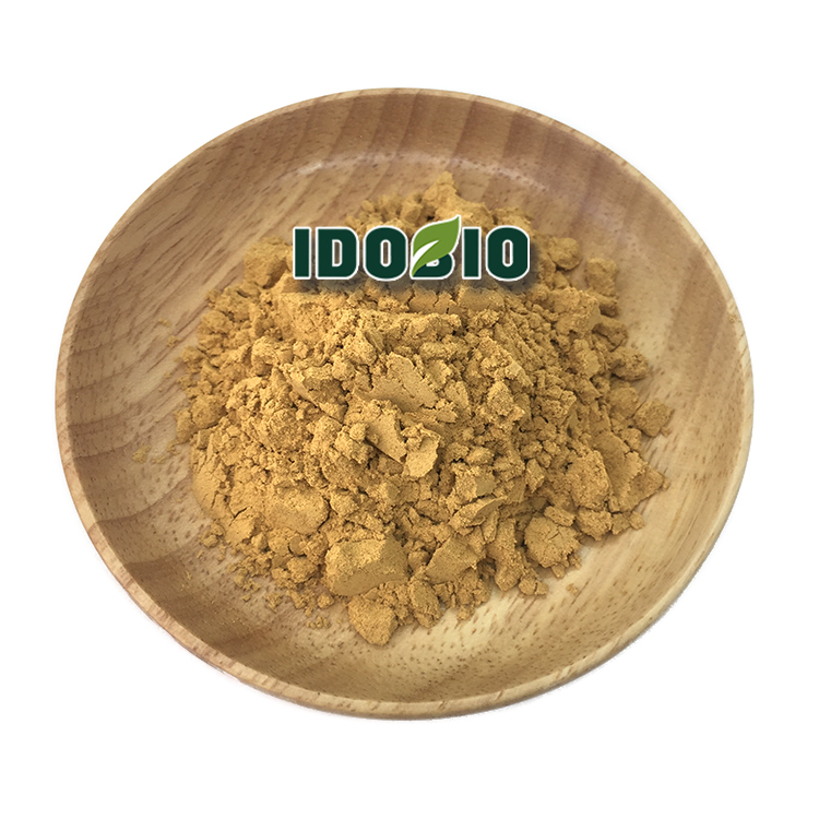 Cissus Quadrangularis Extract 50:1