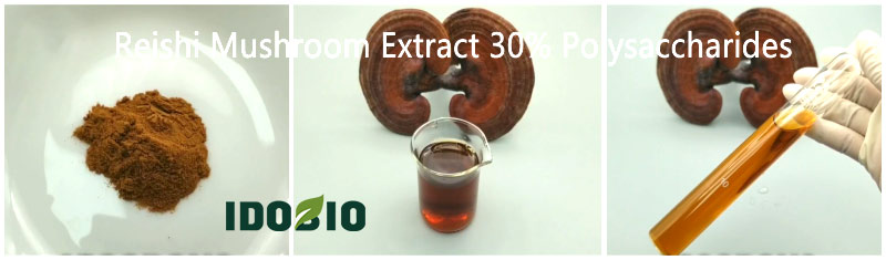 Reishi Mushroom Extract