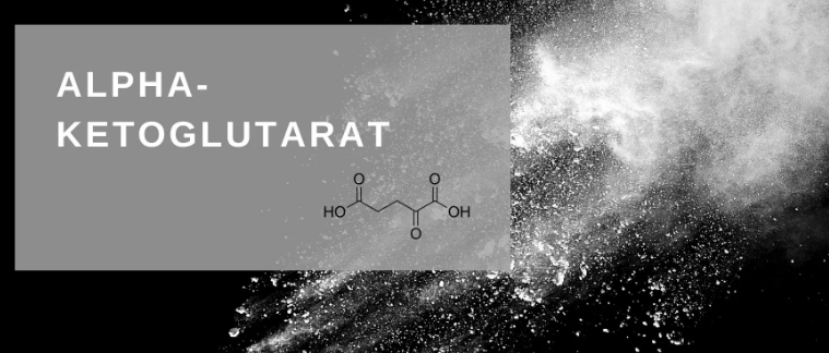 Where Is Alpha Ketoglutarate Used?