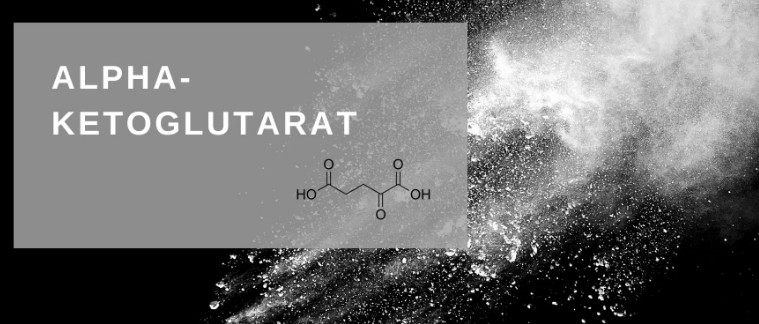 What Is Calcium Alpha-Ketoglutarate?