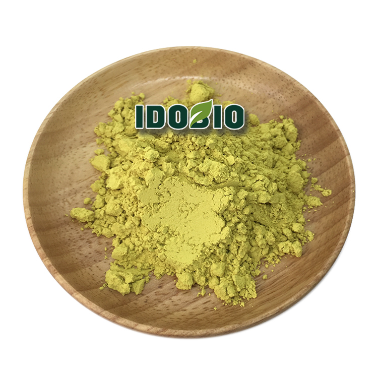 Sophora Japonica Extract Quercetin 95%