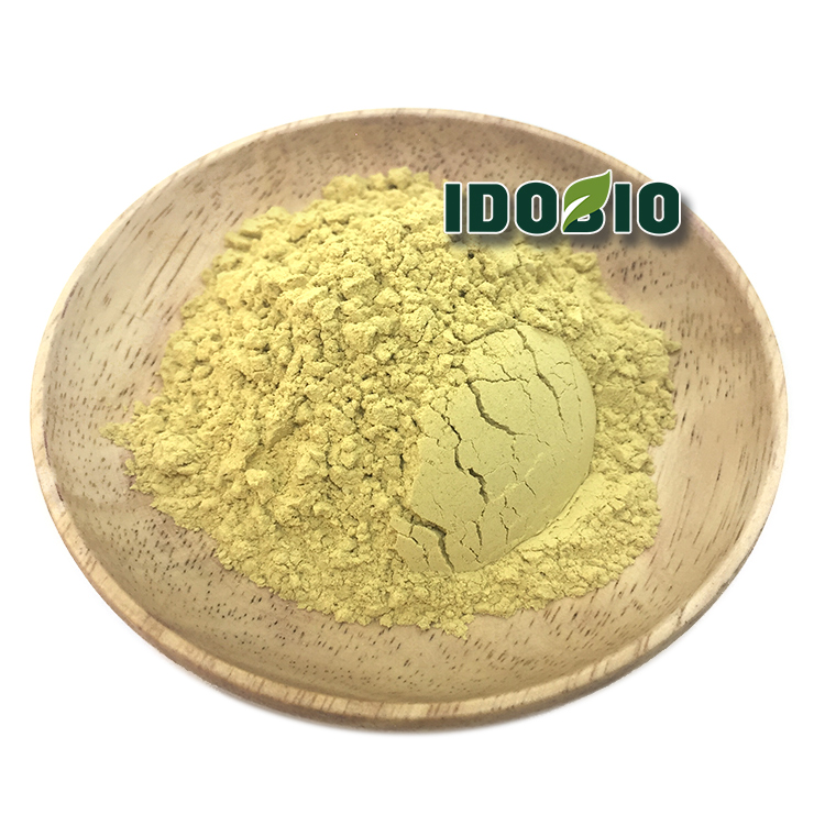Ginger Extract Gigerol 5%  