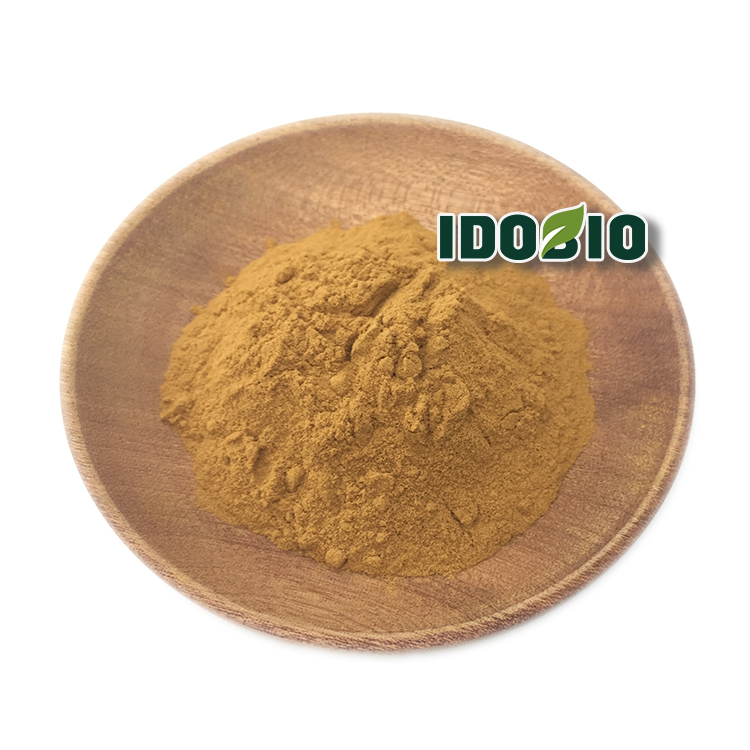 Dandelion Extract Flavonoids 5% 10% 